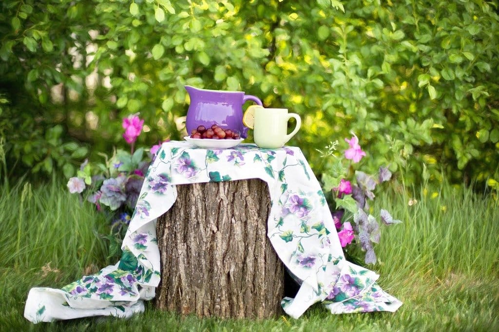 Techniques de jardinage pour débutants