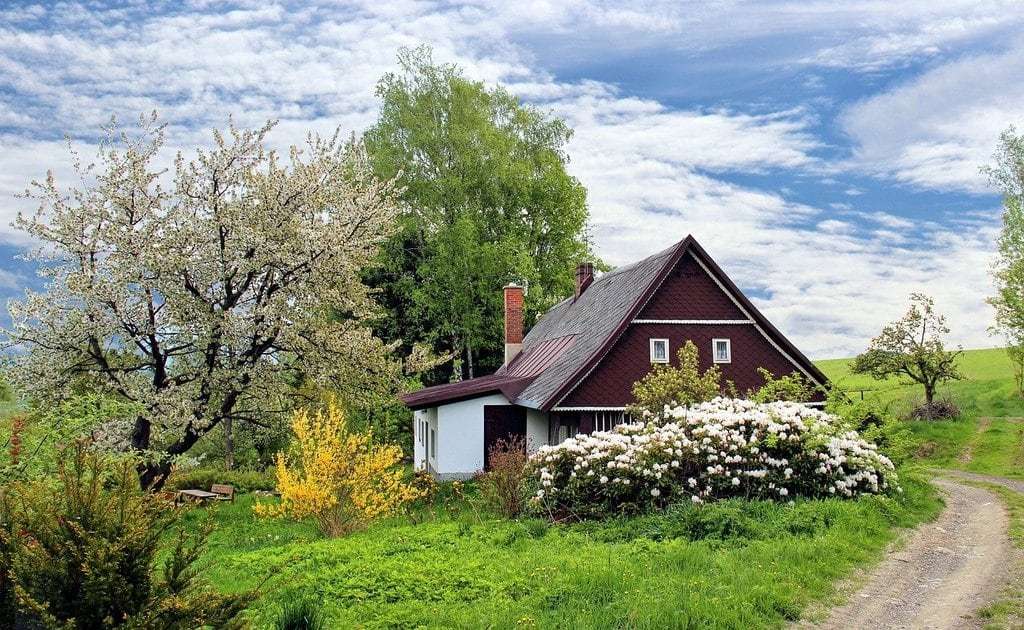 Les meilleures pratiques pour un jardin éco-responsable